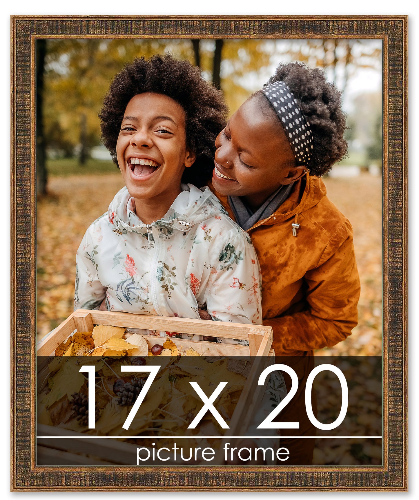 Distressed/Aged Gold Wood Picture Frame