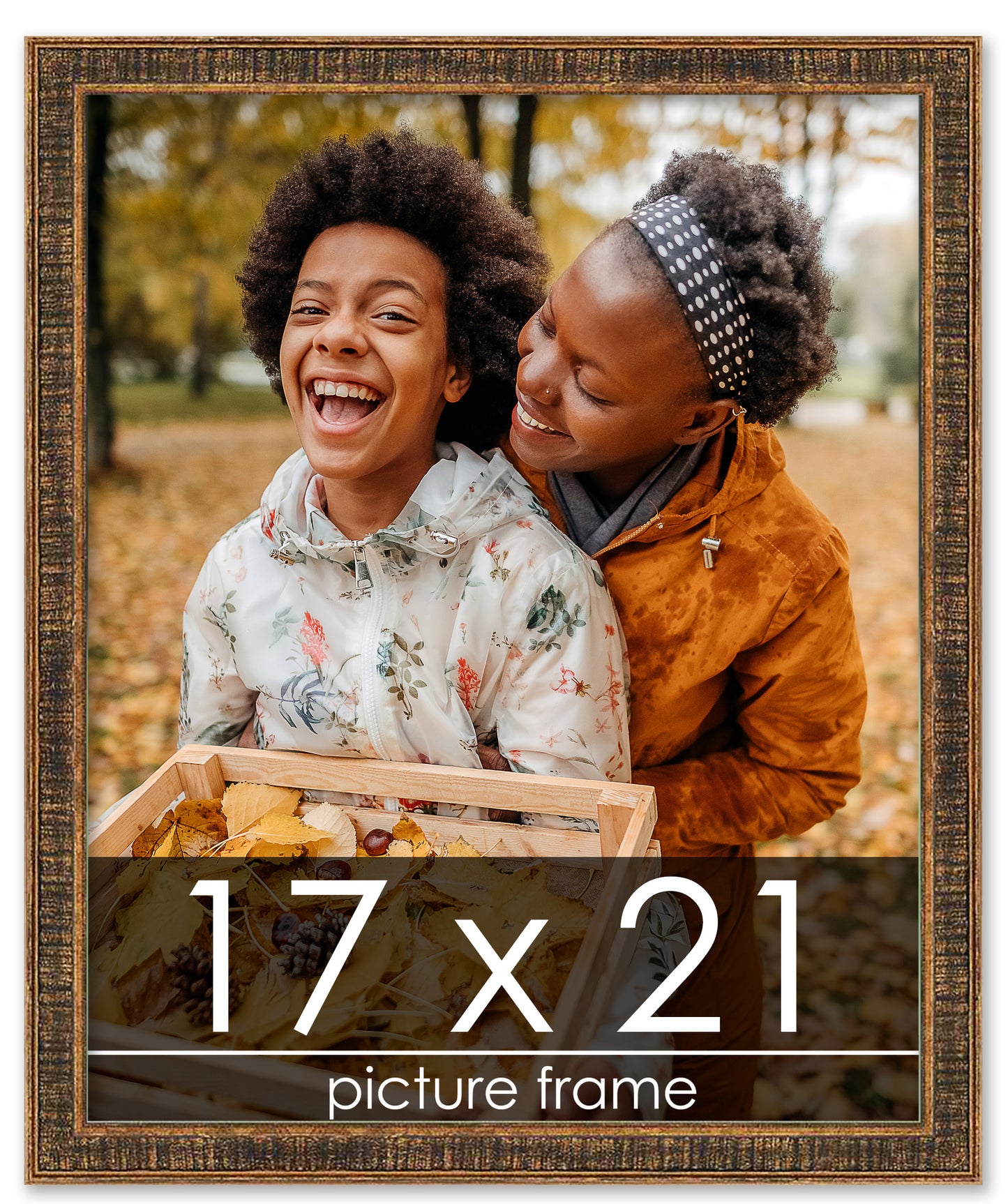 Distressed/Aged Gold Wood Picture Frame