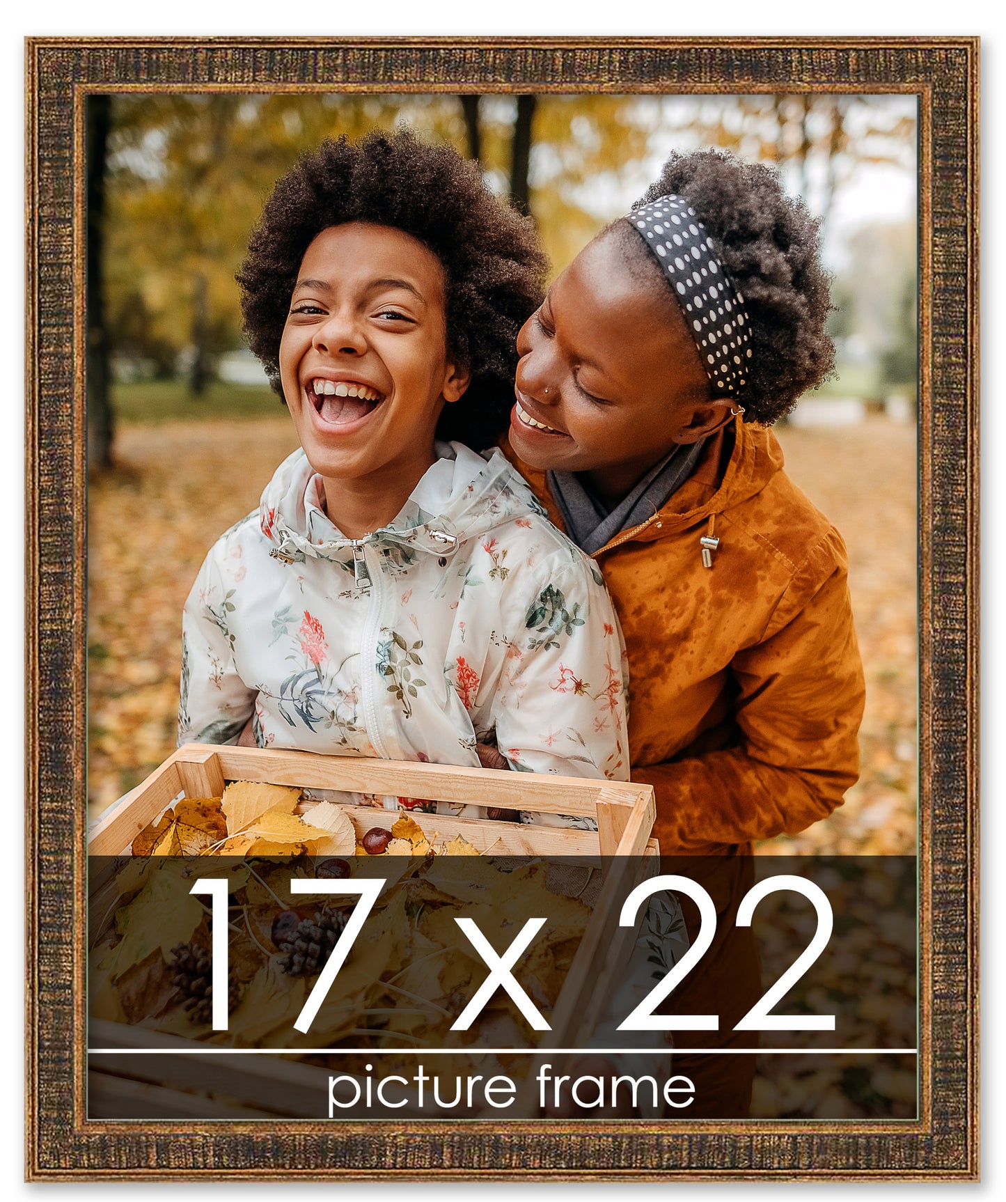 Distressed/Aged Gold Wood Picture Frame