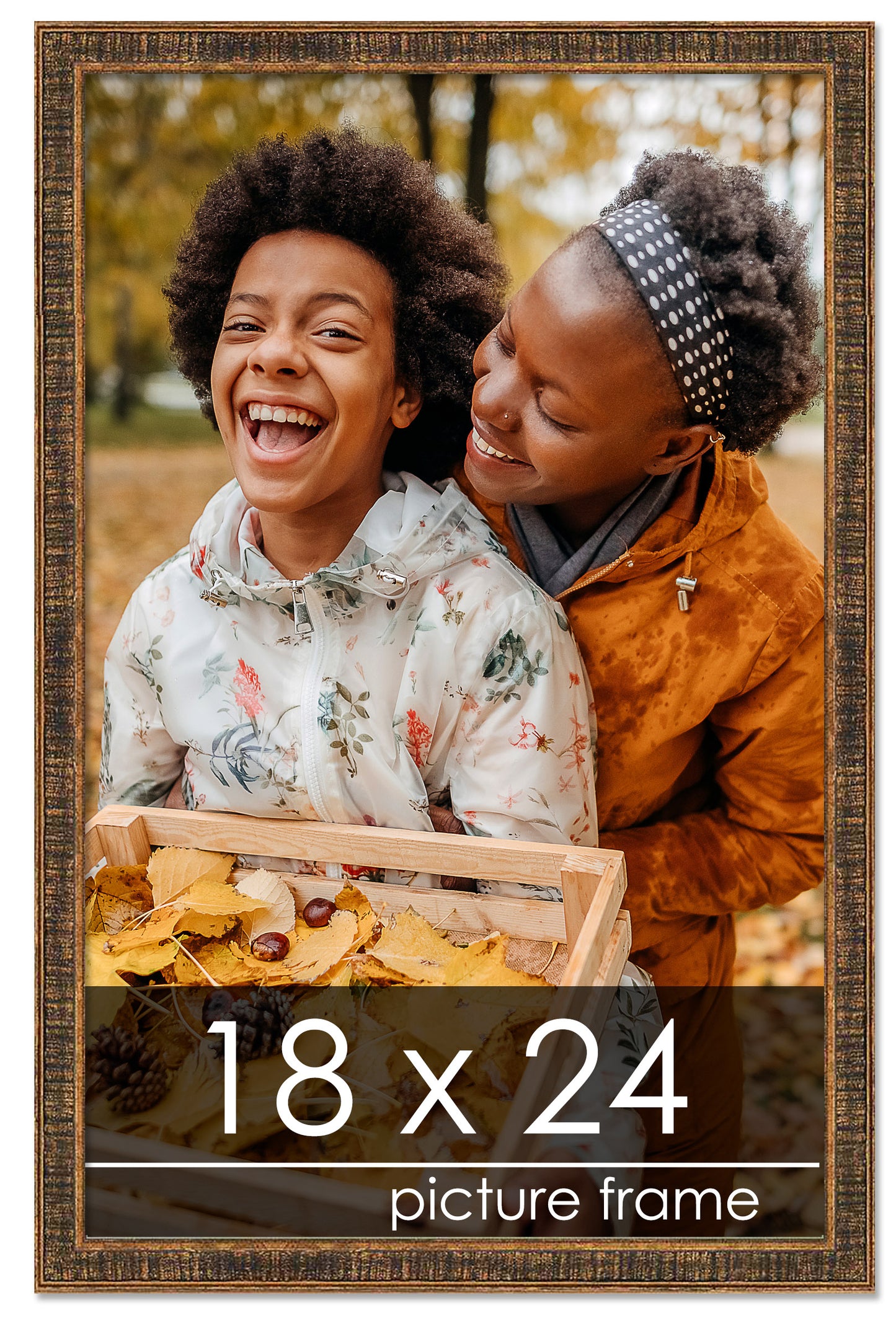 Distressed/Aged Gold Wood Picture Frame