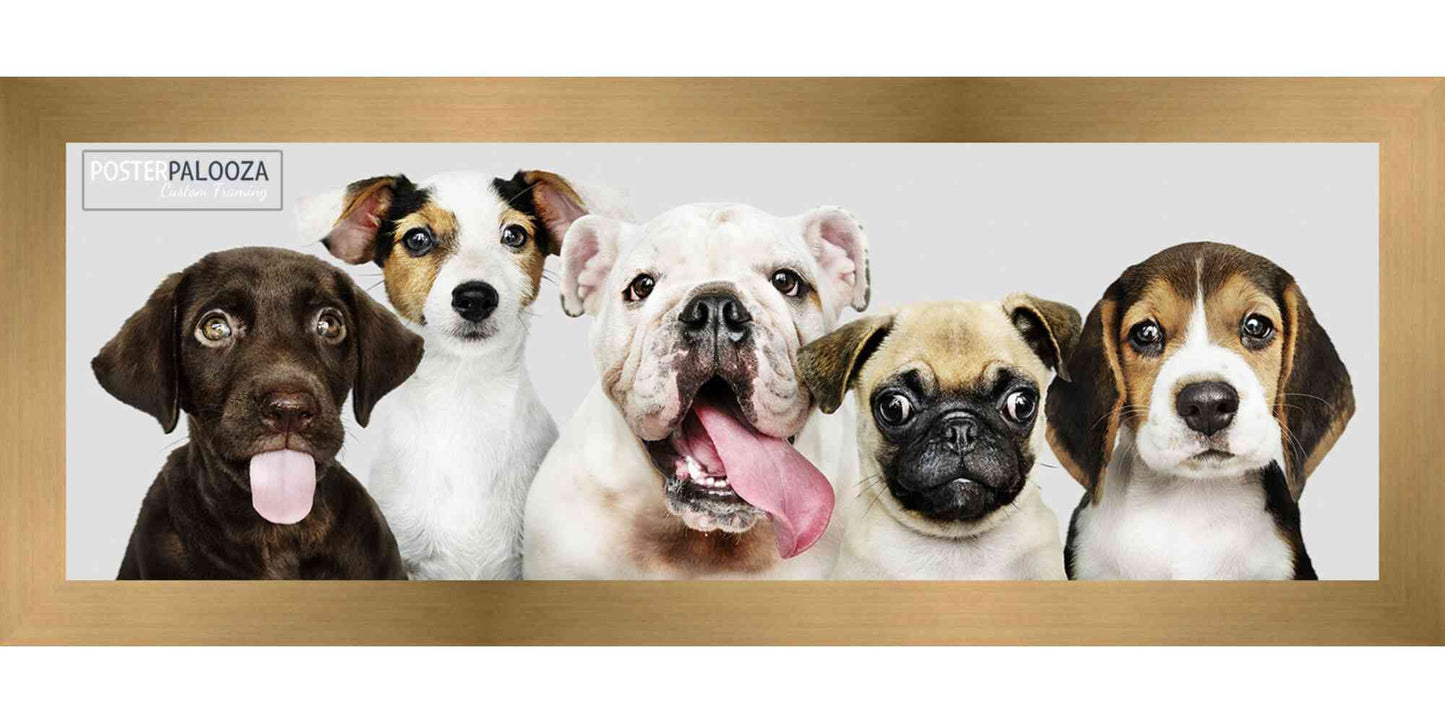 Contemporary Bronze Wood Picture Frame