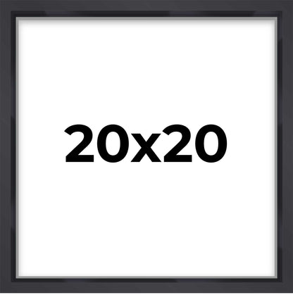 2" Deep Black Shadow Box Frame With White Acid-Free Backing