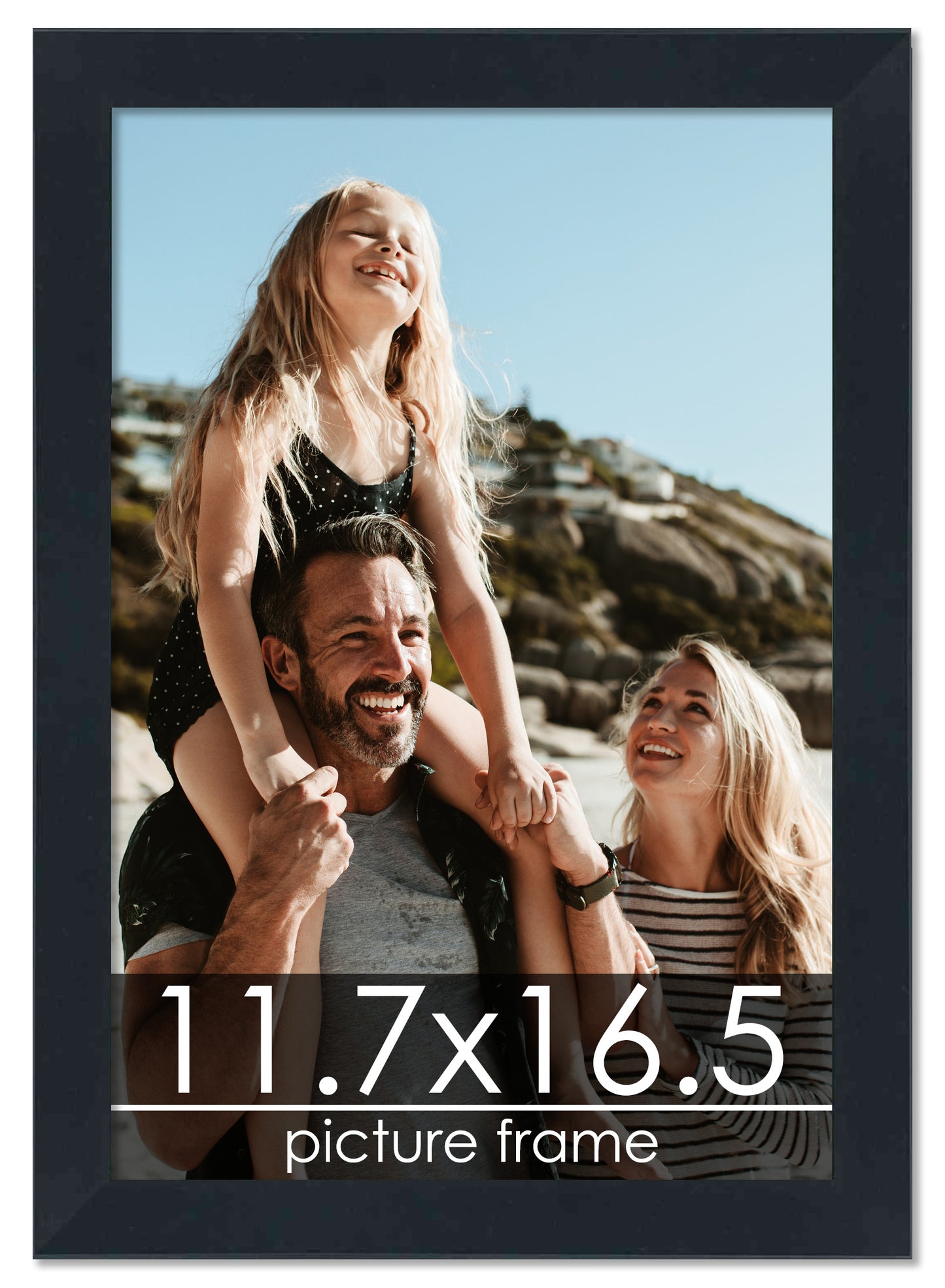 Contemporary Black Wood Picture Frame