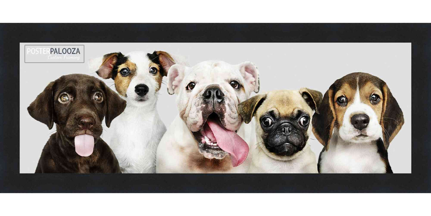 Contemporary Black Wood Picture Frame