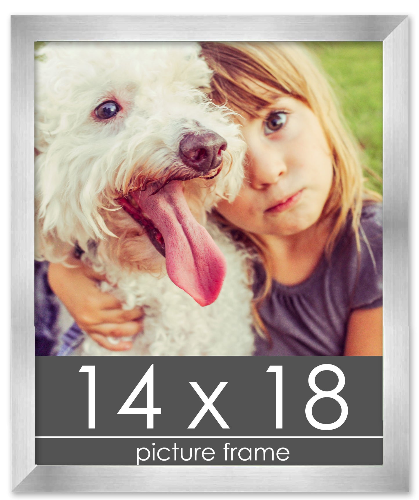 Contemporary Silver Pewter Wood Picture Frame