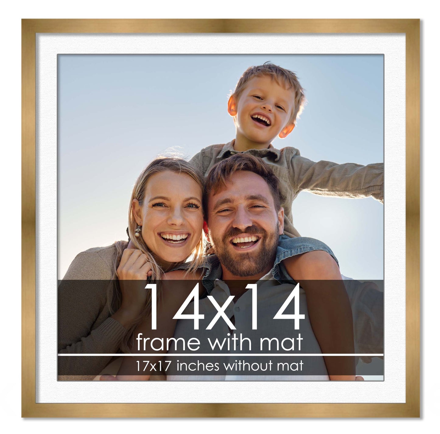 Bronze Frame with White Mat